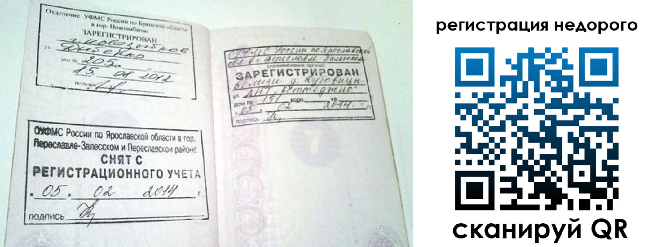 прописка поиск в Берёзовском